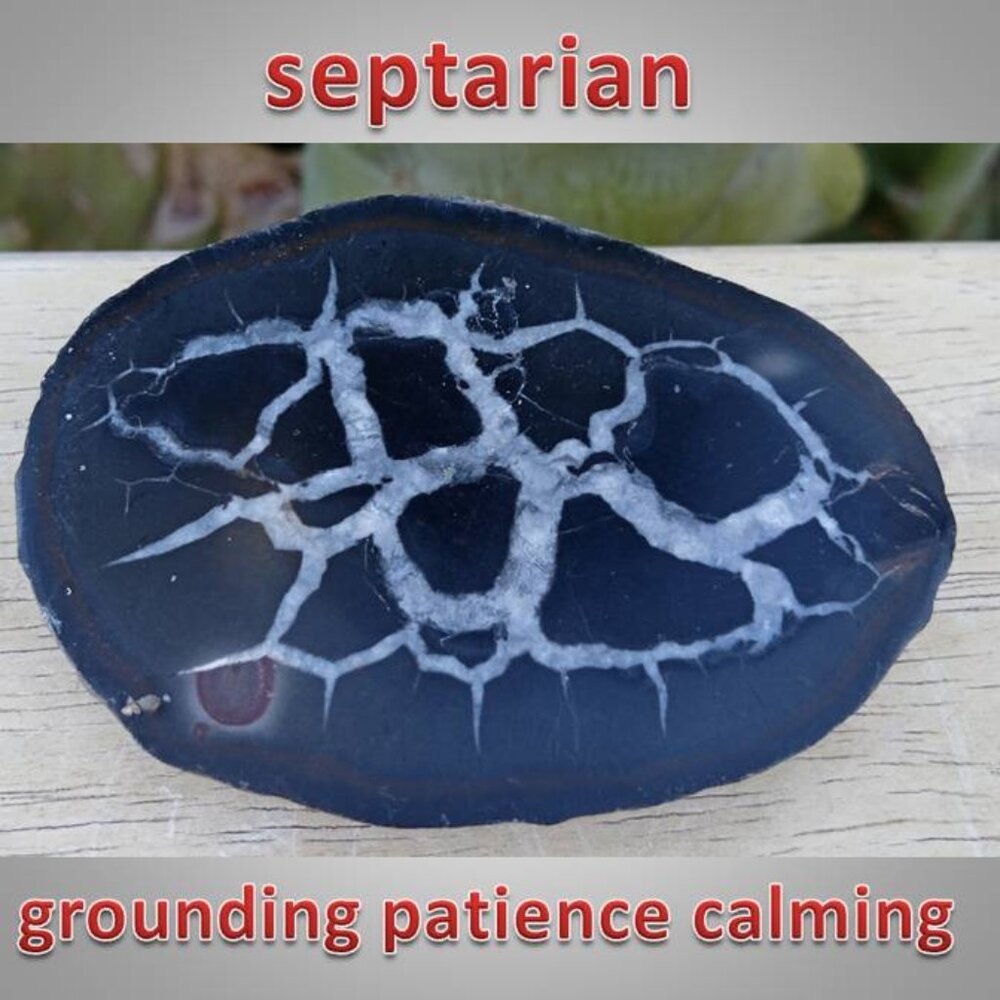 #2 Septarian nodule rock stone crystal fossil PATIENCE tolerance CALMING
